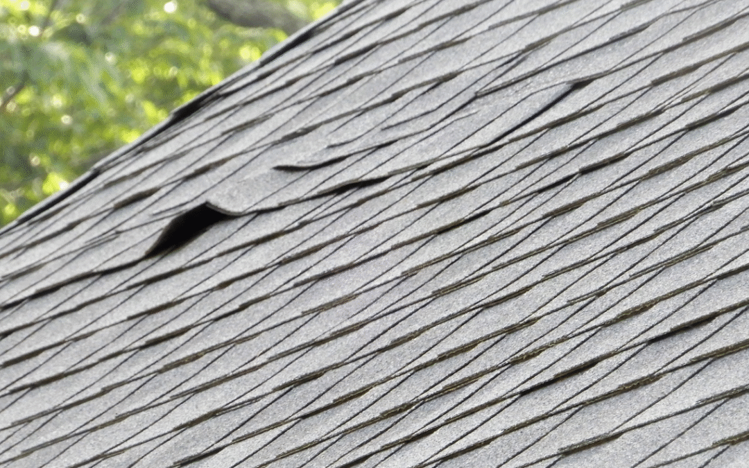 Missing Shingles In Timonium, Do I Need To Replace My Roof?